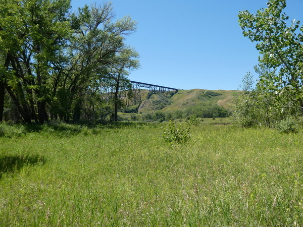 12 Helen Schuler Nature Centre Hike