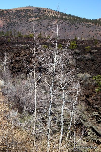 12 Sunset Crater