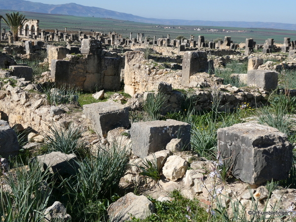 12 Volubilis