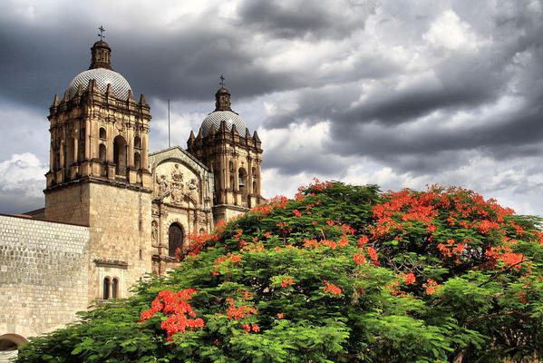 1280px-Florecer_en_Oaxaca