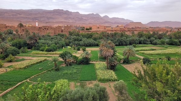 13 2023-09-17 Morocco Todra Gorge 12