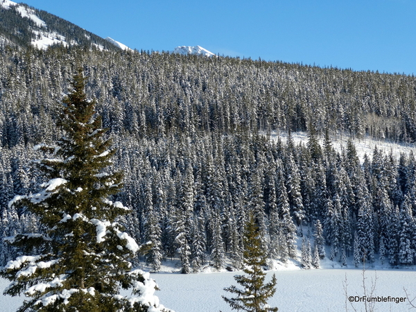 13 Banff area winter