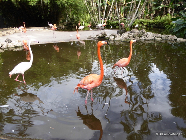 13 Flamingo Gardens