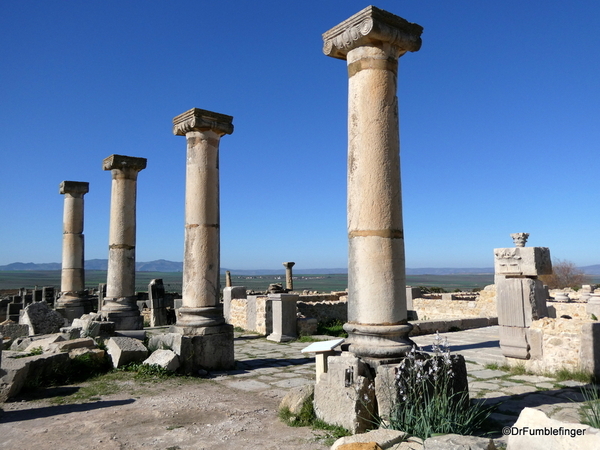 13 Volubilis