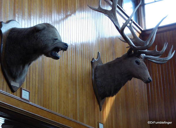 Banff Park Museum, Upstairs