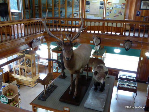 Banff Park Museum, Upstairs