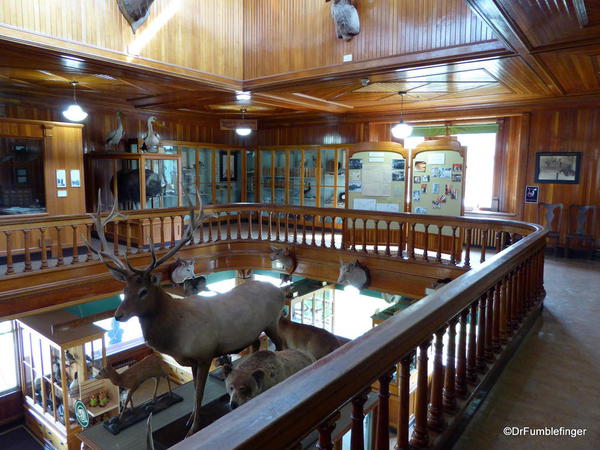 Banff Park Museum, Upstairs