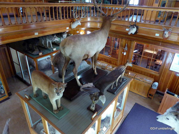 Banff Park Museum, Upstairs