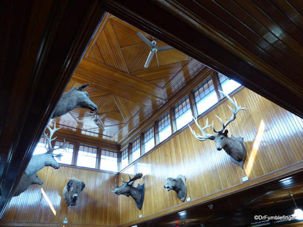 Banff Park Museum, Upstairs