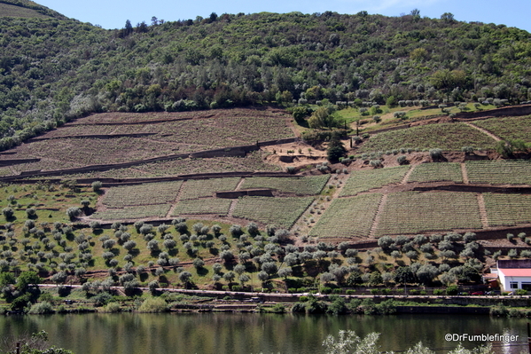 14 Duoro Valley