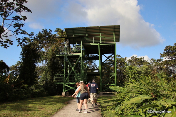 14 Hike in Arenal NP