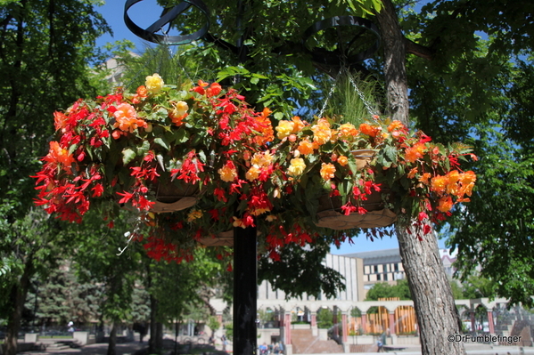 14 Olympic Plaza Calgary