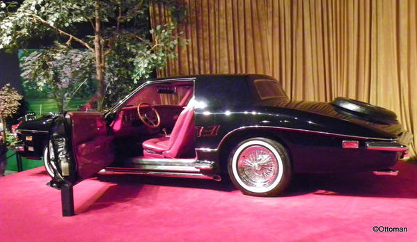 Elvis Presley Automobile Museum. 1973 Stutz Blackhawk. Red leather, gold accents -- the last car Elvis is known to have driven