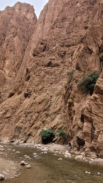 15 2023-09-17 Morocco Todra Gorge 32