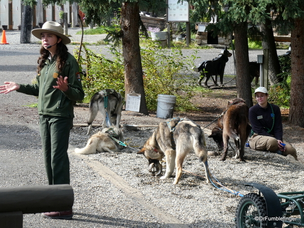 15 Denali Sled Dog Kenn