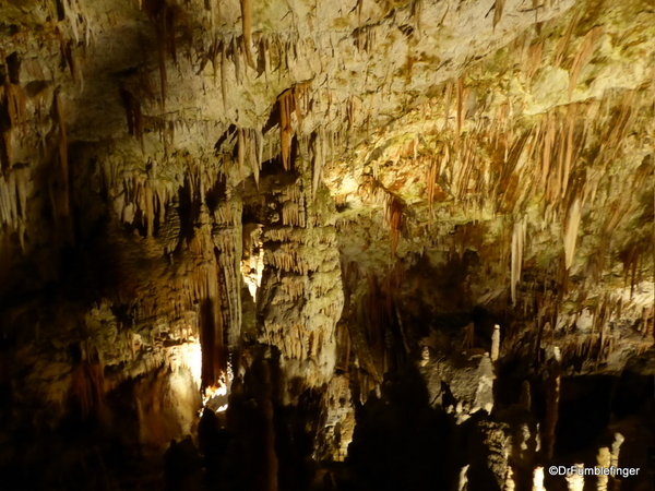 15 Postojna Cave