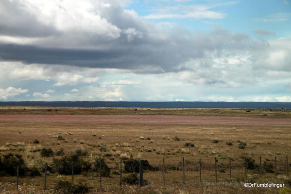 Grazing land around Puerto Natales