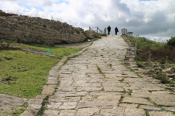 15 Segesta