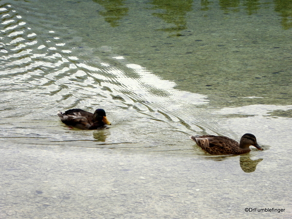 16 Lake Bohinj, Slovenia (36)