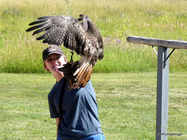 16b Birds of Prey Center, Coaldale