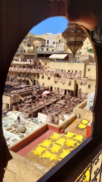 17 2023-09-19 Morocco Fez Chouara Tannery Leather 16