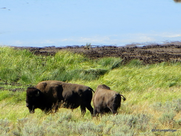 17 Hayden Valley and Yellowstone River