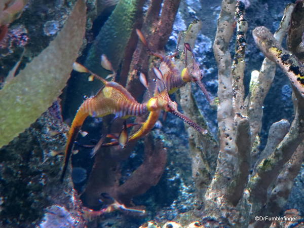 17 New England Aquarium