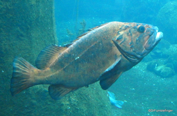 17 Seward Sealife Center