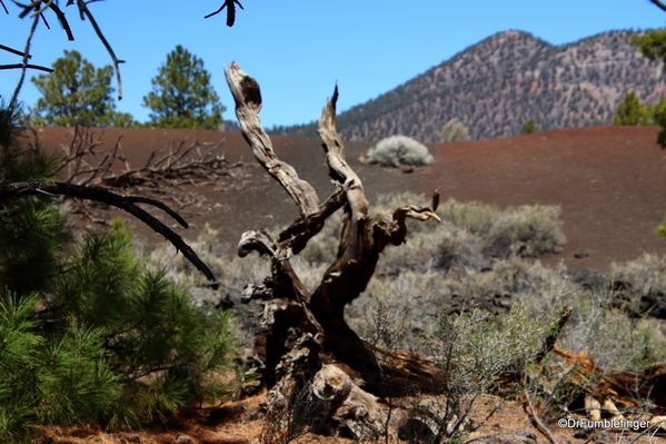 17 Sunset Crater