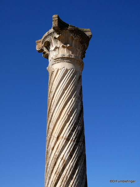 17 Volubilis