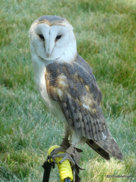 18 Birds of Prey Center, Coaldale