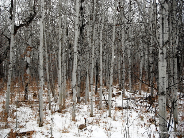 18 Glemore Reservoir hike