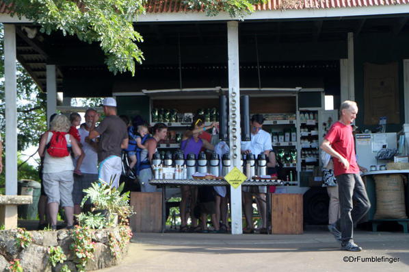 Sampling the coffee, Greenwell Farms Coffee Tours