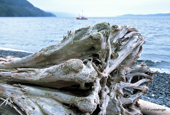 18 Johnstone Strait