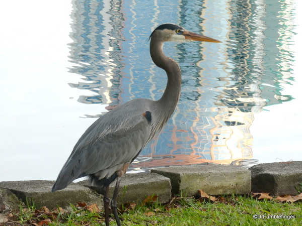 18 Lake Eola, Orlando