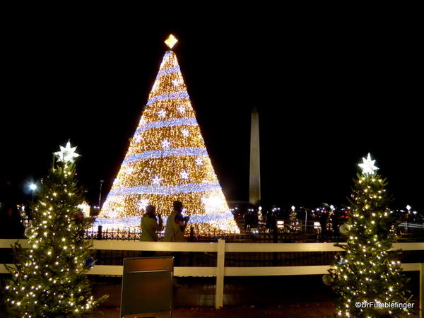 18 National Christmas Tree (10)