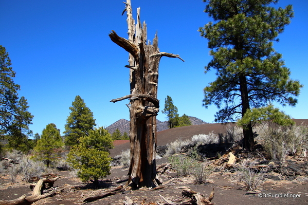 18 Sunset Crater