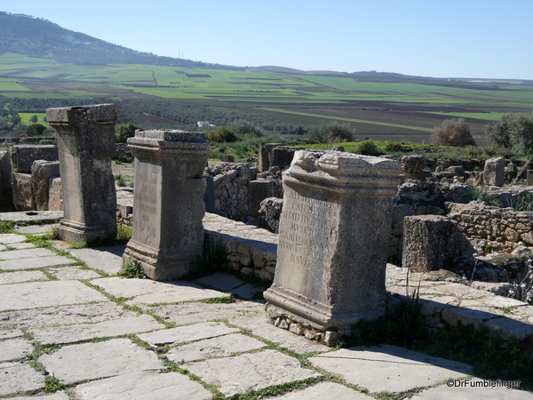 18 Volubilis