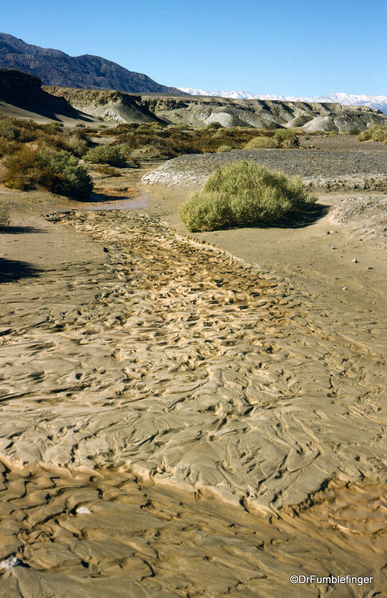 19 Death Valley January 1988 (9)