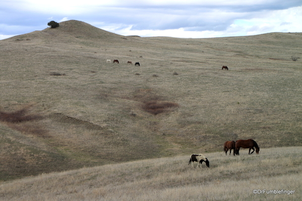 19 Little Bighorn Battlefield