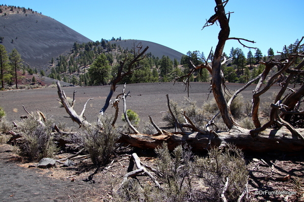 19 Sunset Crater