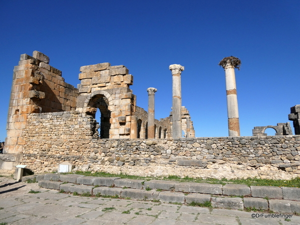 19 Volubilis