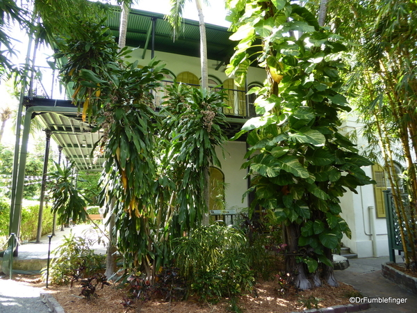 19a Hemingway House, Key West