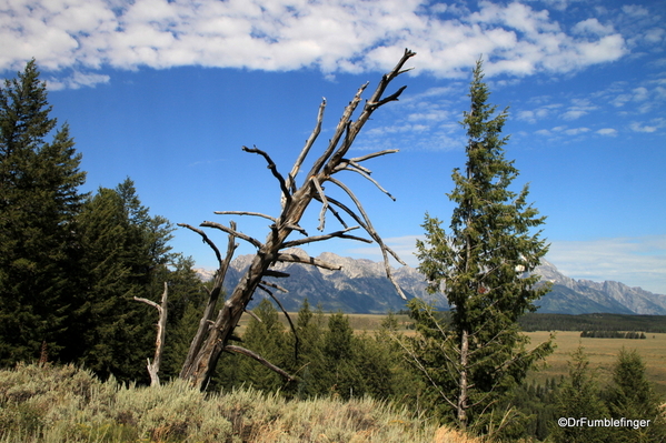 01 Grand Teton National Park