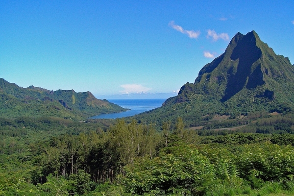 13_moorea-2410785_1280