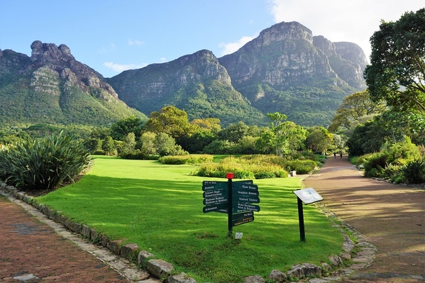 14_Kirstenbosch