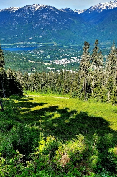 Ski-run part of the trail