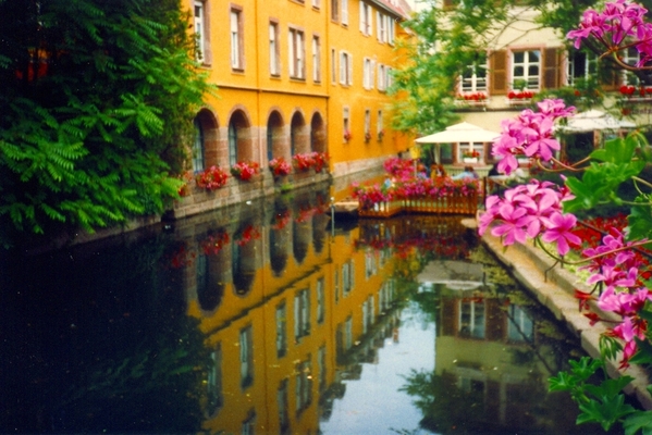 Colmar Colors