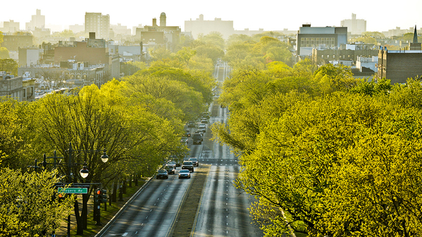 EasternParkway_sig_CourtesyNYCParksRec