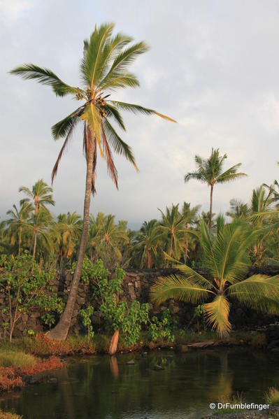 Pool, Pu`uhonua O Hōnaunau National Historical Park